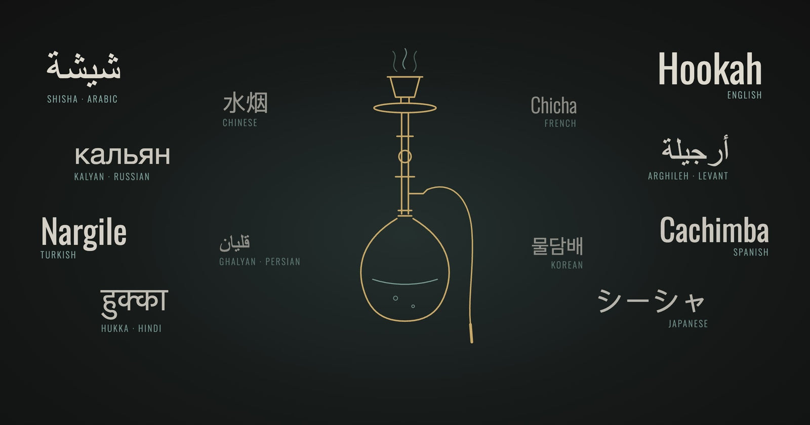 The word shisha in different languages around a line drawing of a shisha