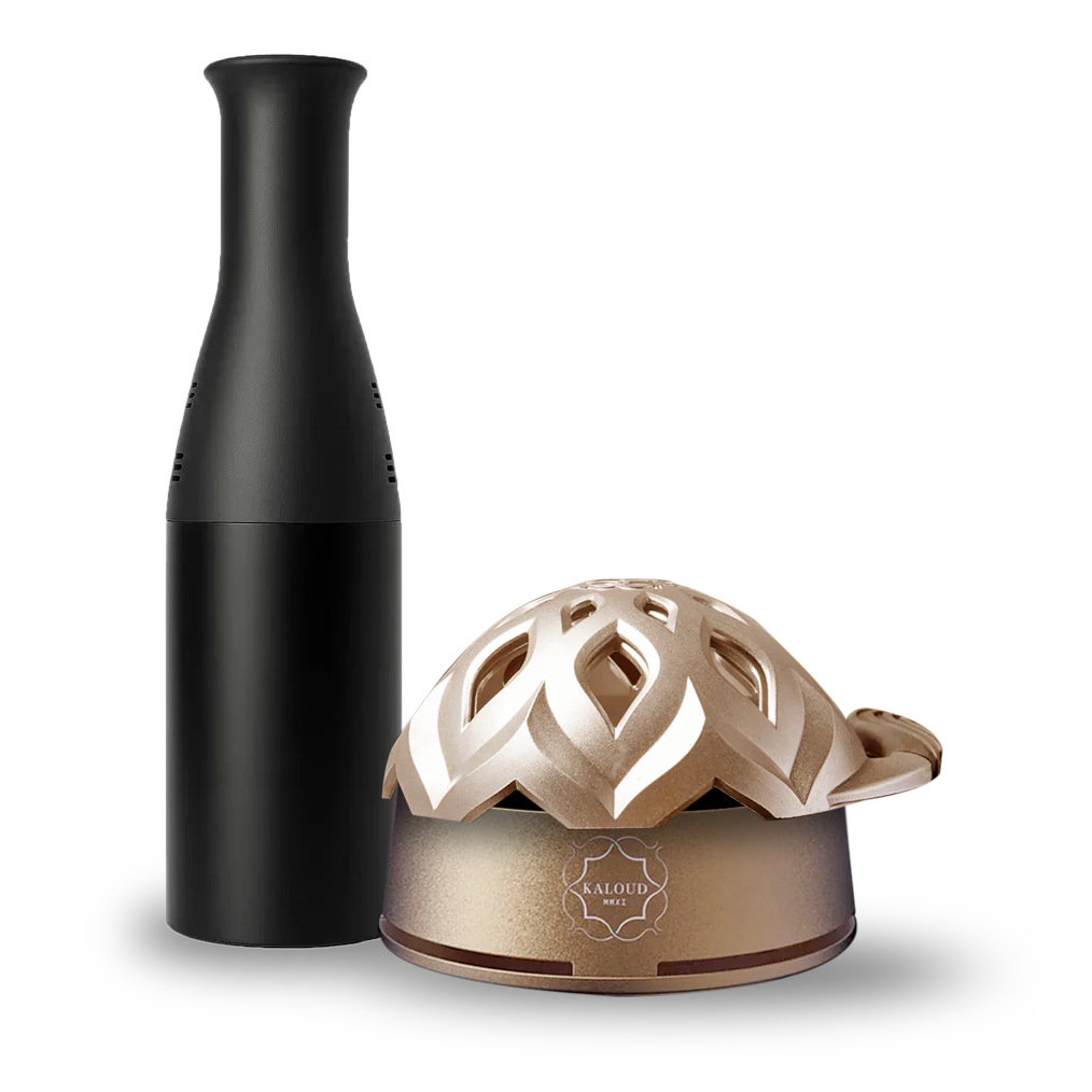 Kohlekorb mit Kaloud Lotus I+3 HMD