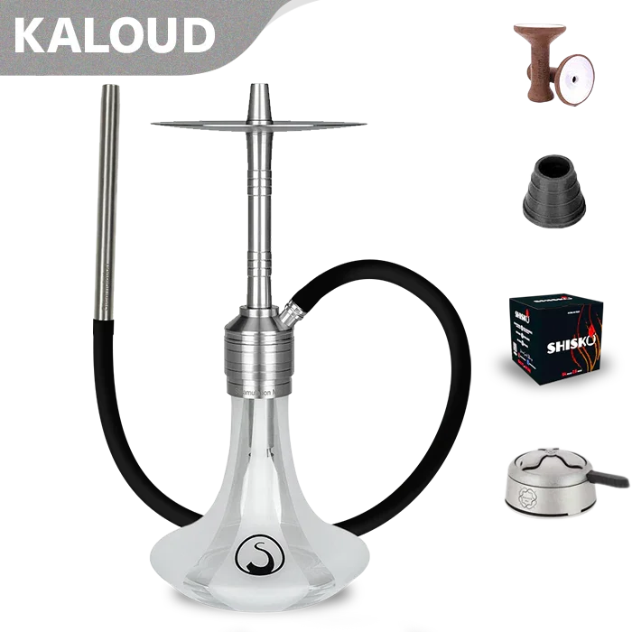 Steamulation Mini Gen. II Shisha