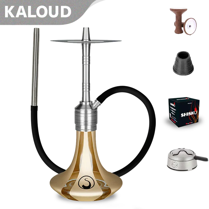 Steamulation Mini Gen. II Shisha