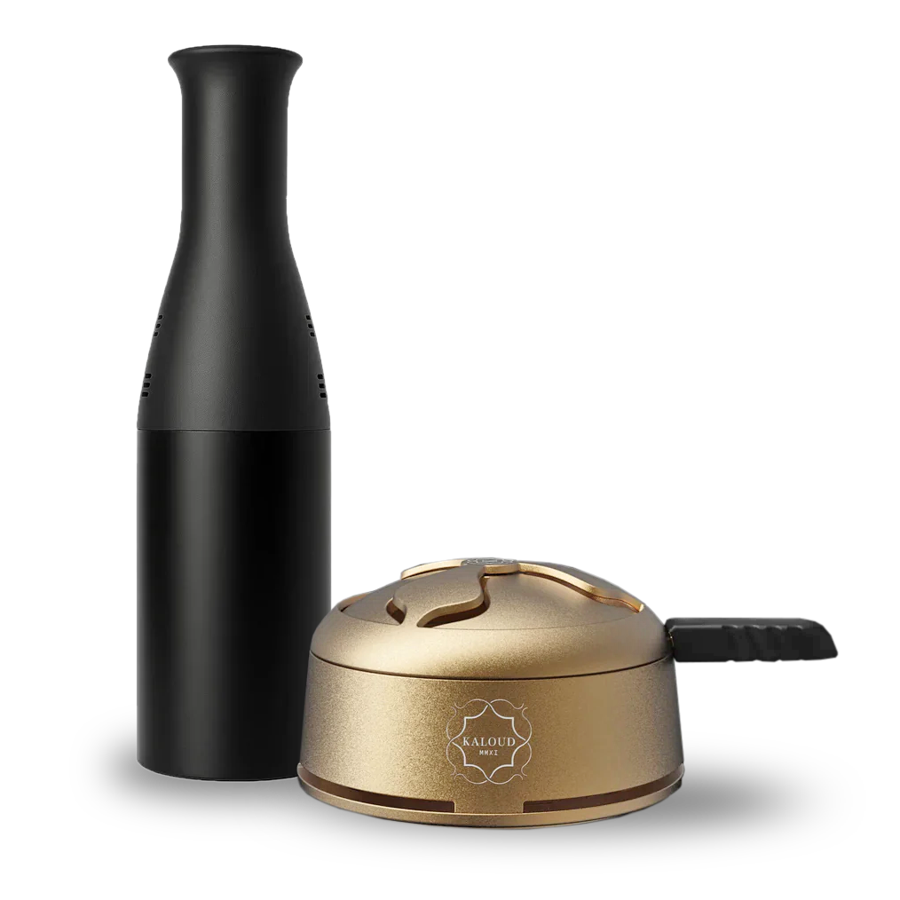 Kohlenfänger mit Kaloud Lotus I+ HMD