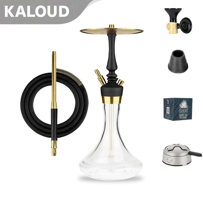 Hoob Mars Mini Pro Shisha - Schwarz Gold